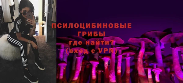 дживик Майский