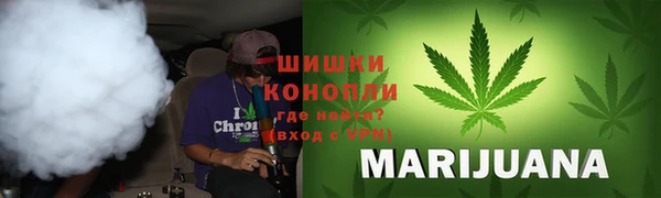дживик Майский