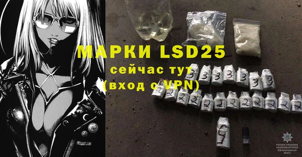 спиды Медвежьегорск
