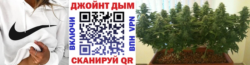 Бошки Шишки Amnesia  Горбатов 